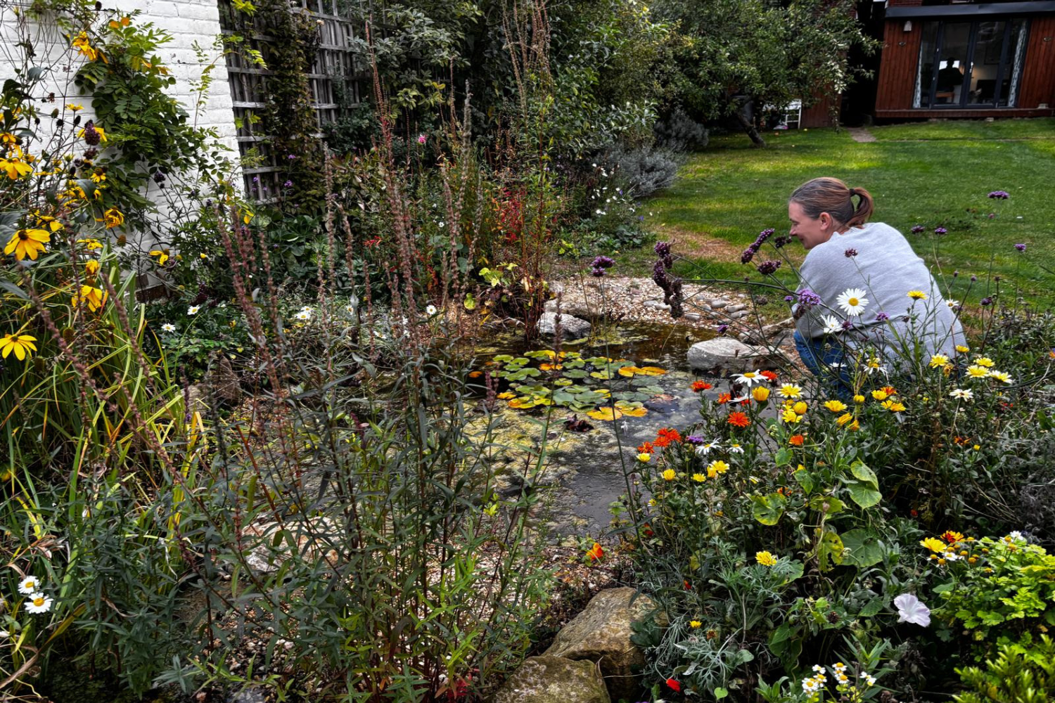 Support wildlife through gardening