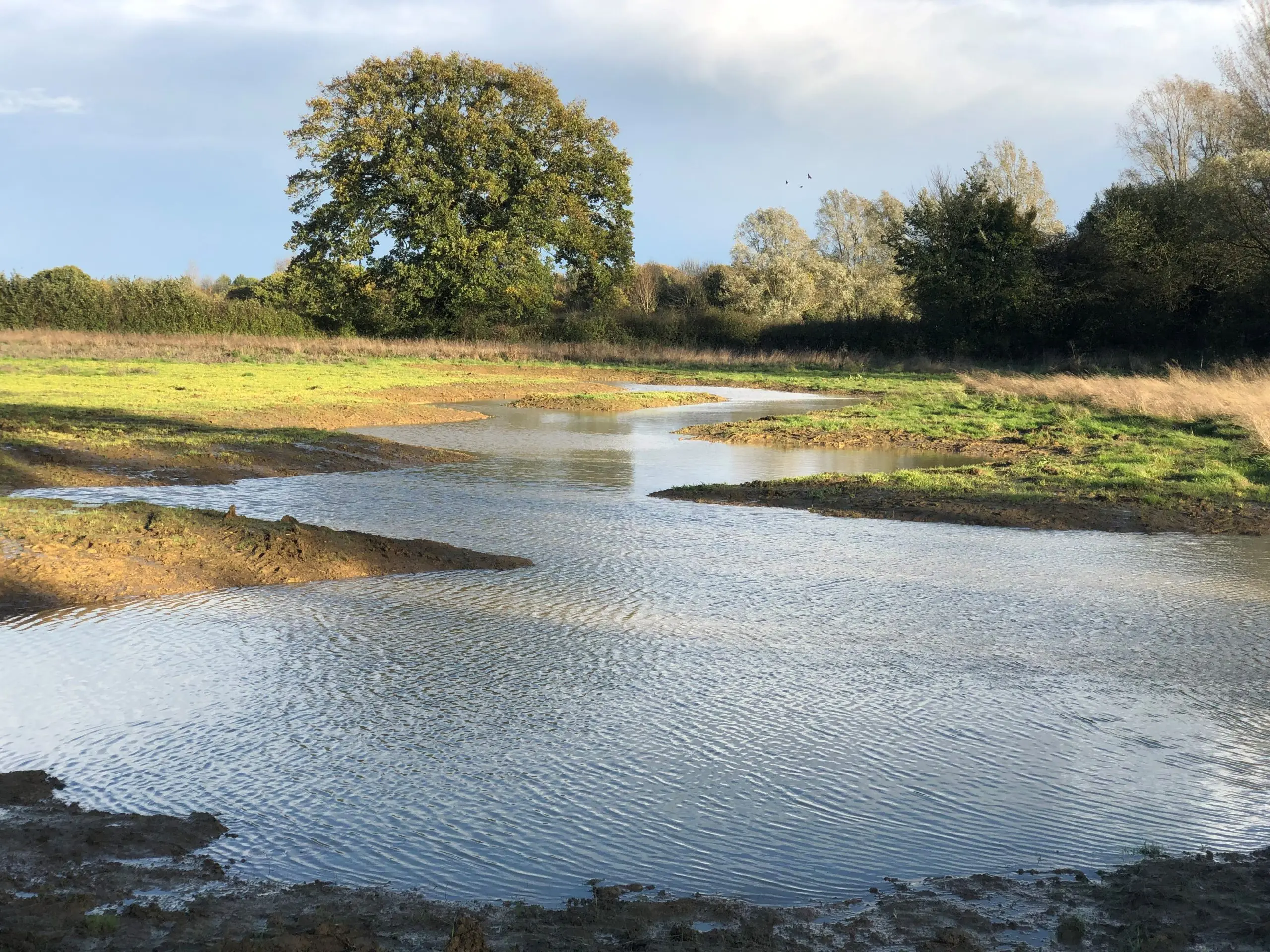 Bigger, Better, More Joined Up. Advice for Land Managers