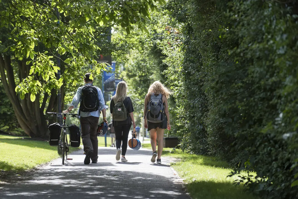 Earn rewards for healthier journeys