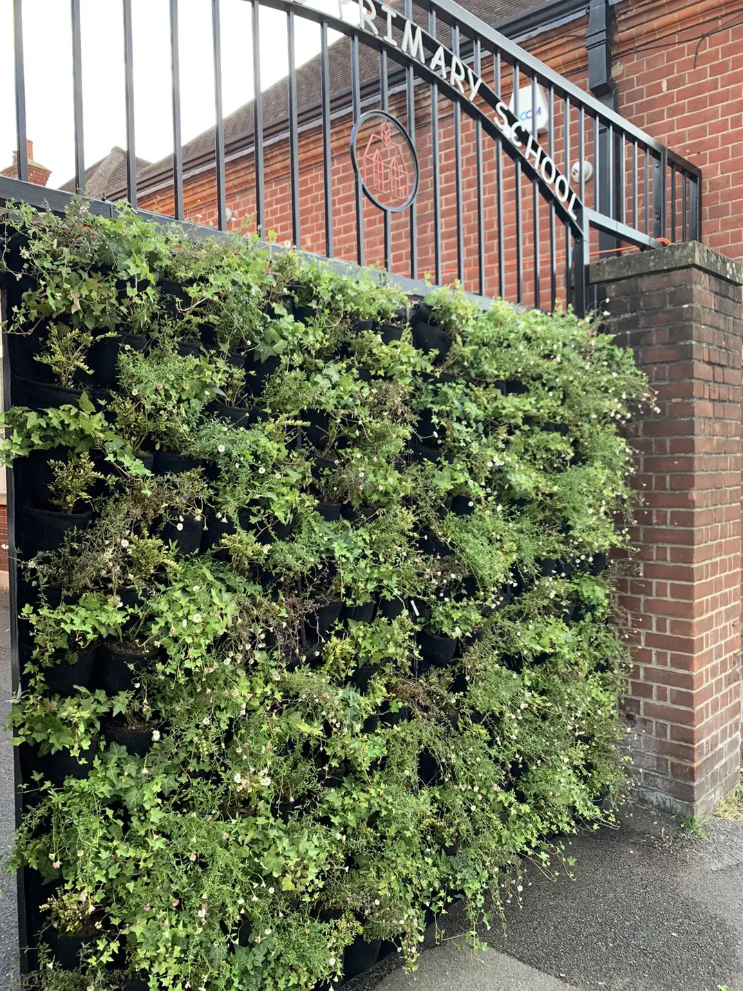 Improve air quality by planting vegetation