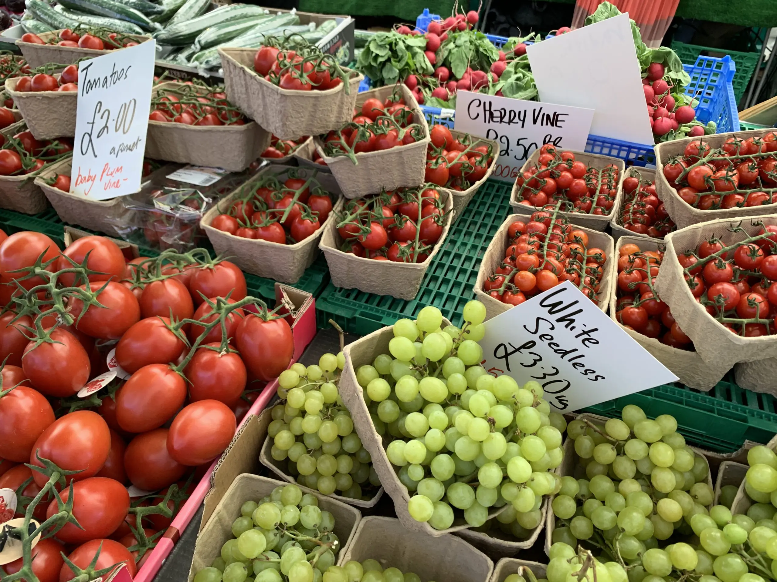 Eat more sustainably