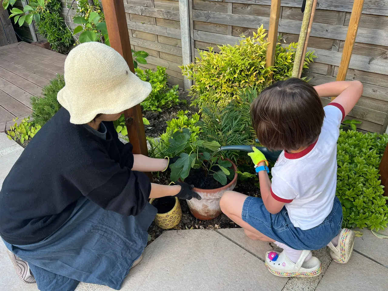 Look after your garden