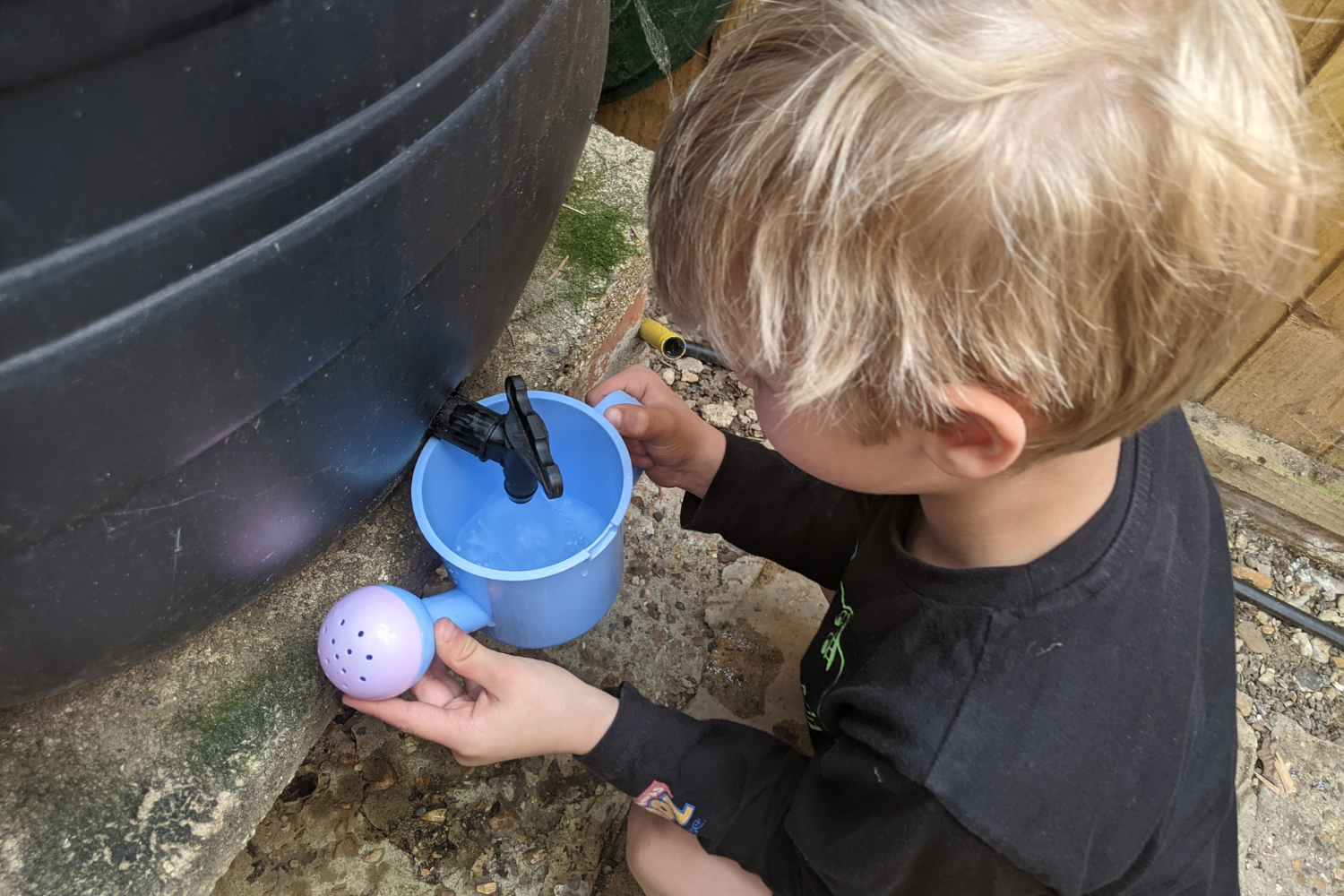 Save water in your garden
