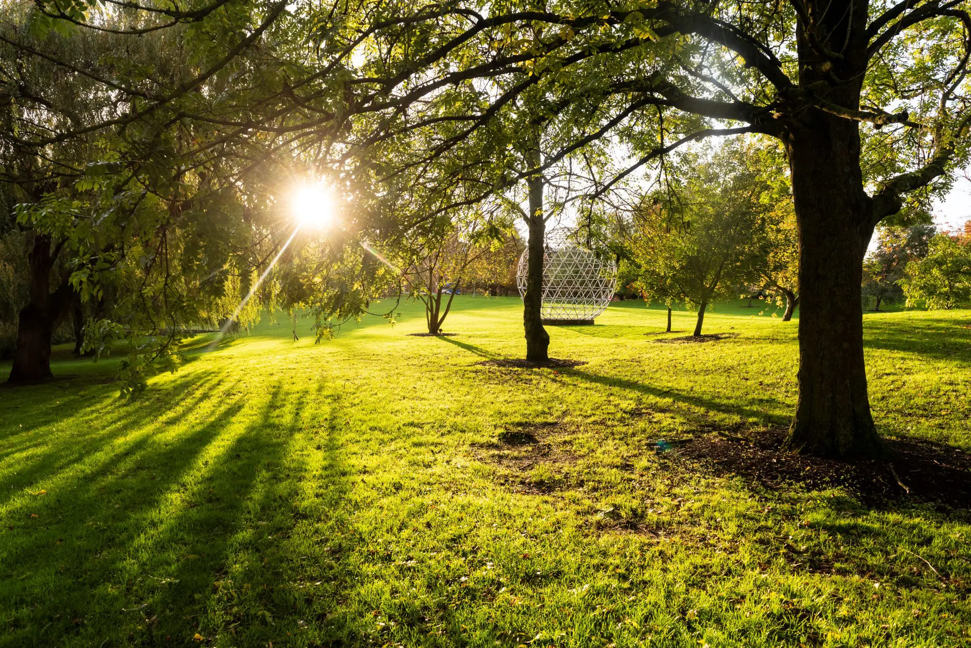 Improve biodiversity and grow your business
