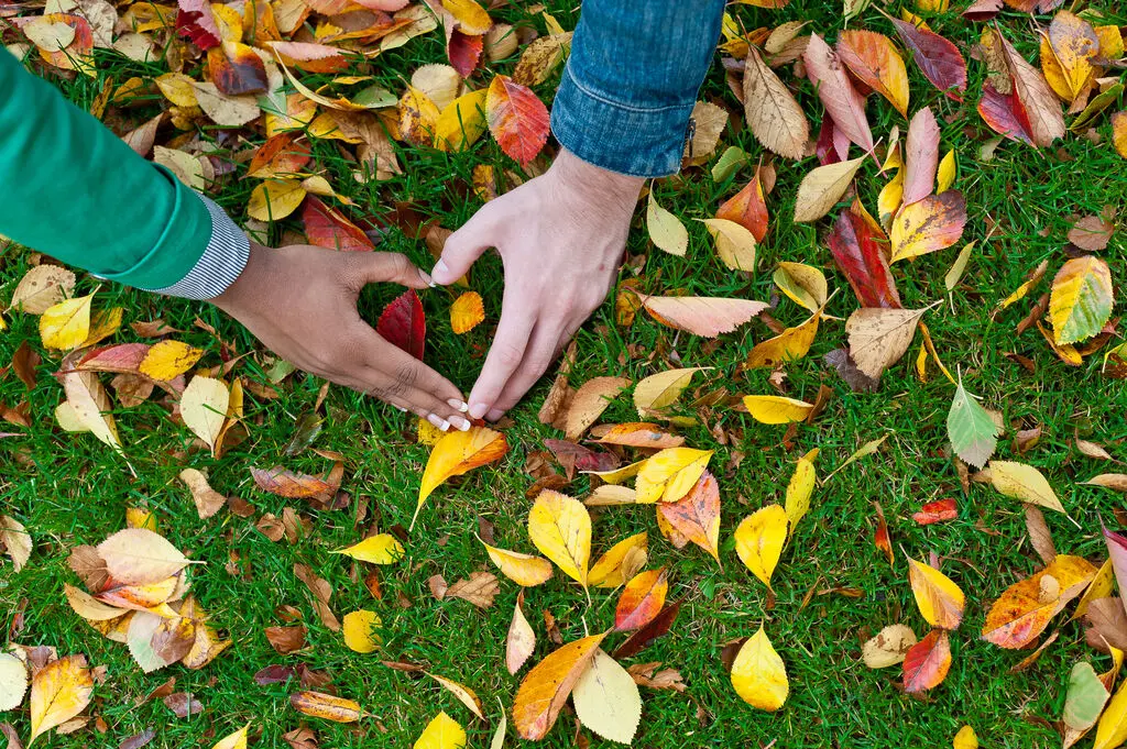 Support local sustainability projects through corporate social responsibility