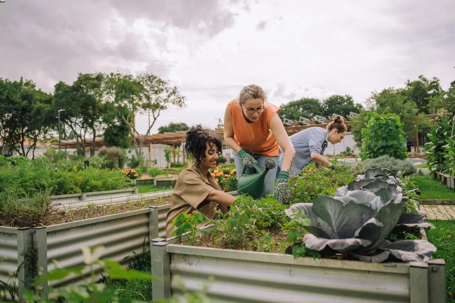 Support wildlife through gardening