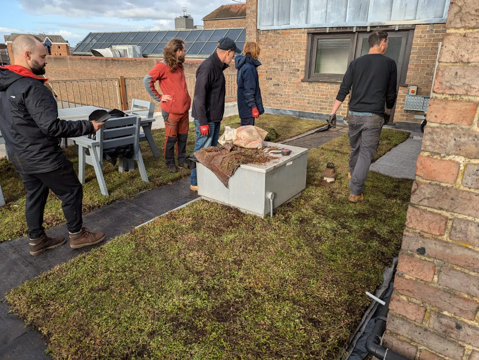 Rooftop biodiversity garden installed in Guildford
