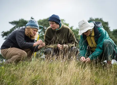 Learn how to conduct wildlife recording in your area