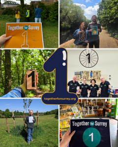 collage of people across surrey holding a number 1 with a large one in the centre in bubble font