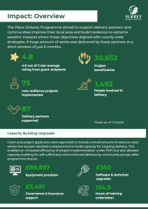 Poster of programme impact: overview