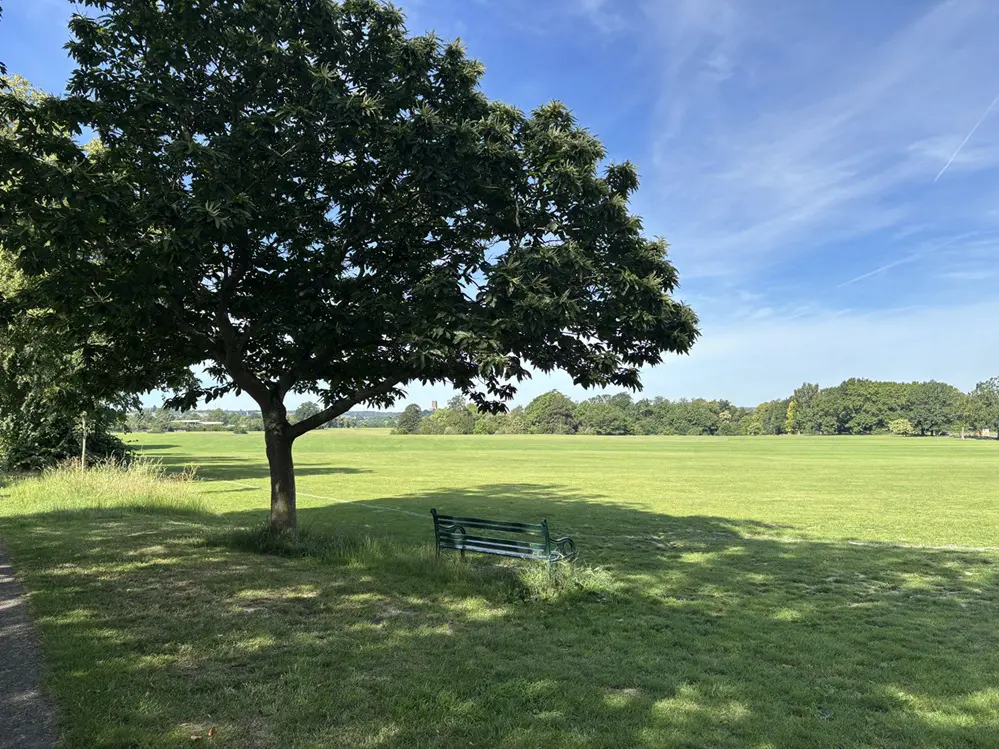 Strengthen Surrey’s Resilience to Extreme Heat