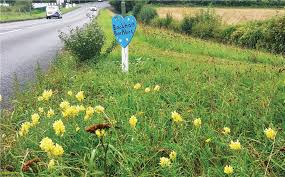 Use Roadside Verges to Support Wildlife
